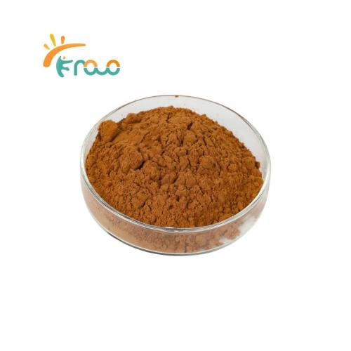 Lion's Mane Mushroom Extract Powder Suppliers